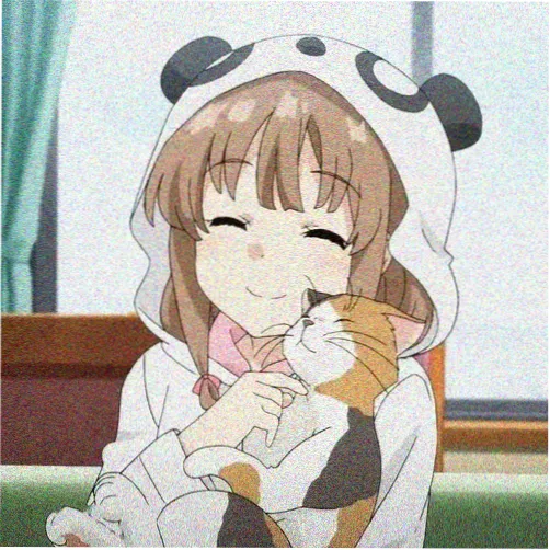 旧信封 的头像